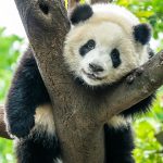 pexels-mike-van-schoonderwalt-5504764